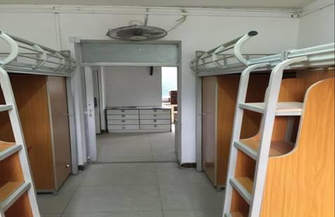 学生宿舍新家具